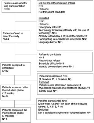 Virtual Physical Prehabilitation in Lung Transplant Candidates: A Proof-of-Concept Study